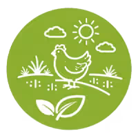 Chów na pastwiskach - Kurczak Pastwiskowy